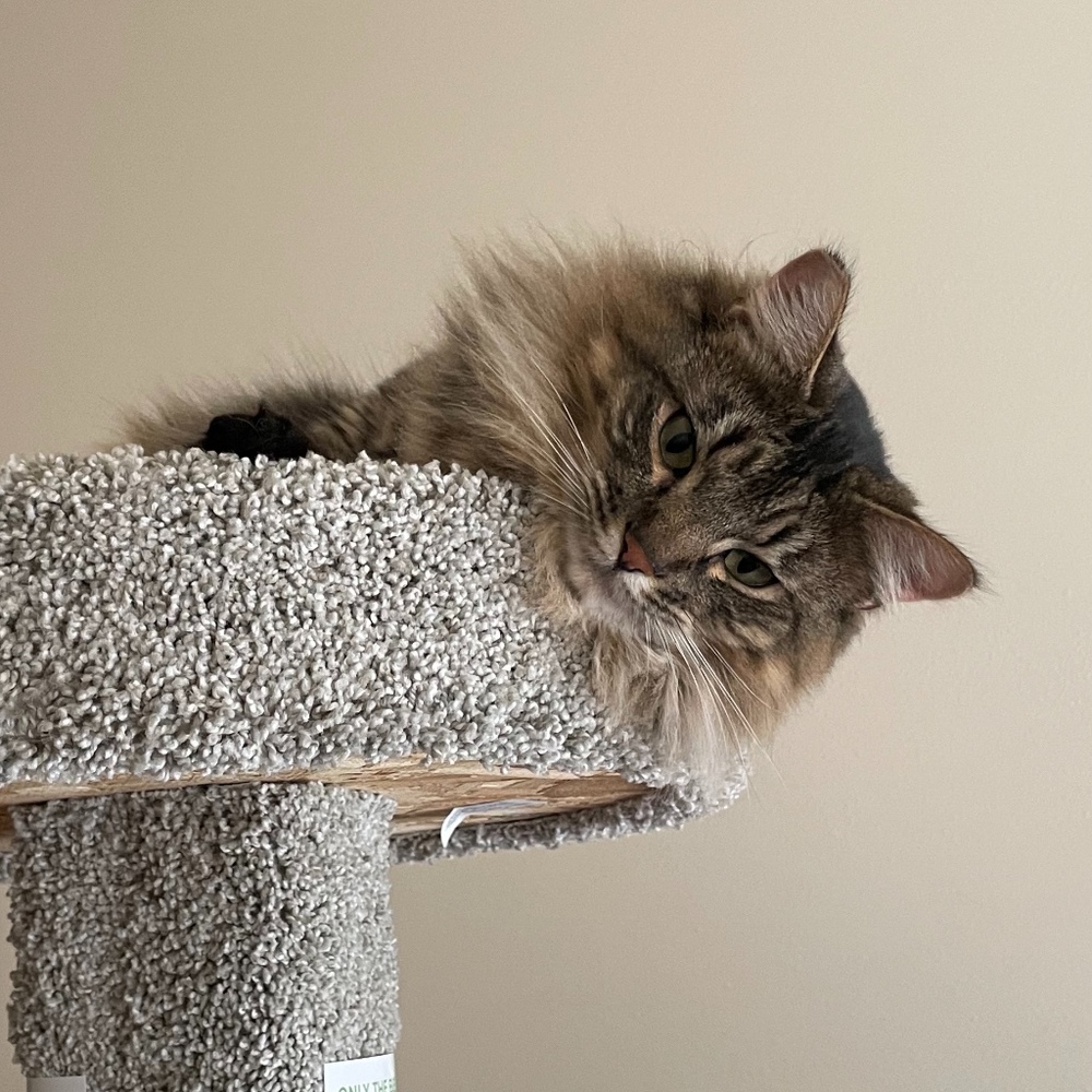 Meet your Posher, Kendra